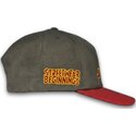 petten-gebogen-meerkleurig-snapback-just-kids-the-retro-van-homenage