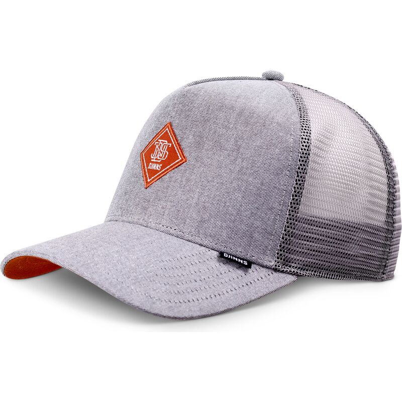 petten-gebogen-grijs-snapback-hft-oxfordcontra-van-djinns