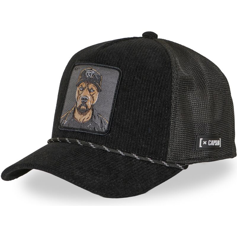 petten-gebogen-zwart-snapback-bad-dog-badb-hip-hop-dogz-van-capslab