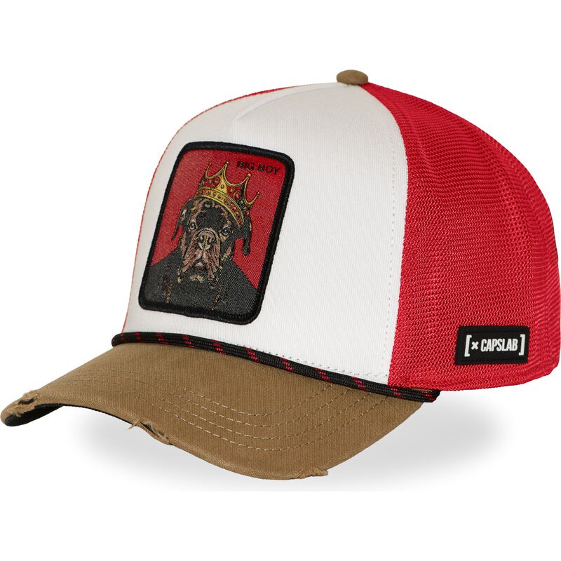 petten-gebogen-meerkleurig-snapback-big-boy-bigb-hip-hop-dogz-van-capslab petten-gebogen-meerkleurig-snapback-big-boy-bigb-hip-hop-dogz-van-capslab