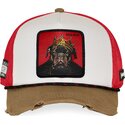 petten-gebogen-meerkleurig-snapback-big-boy-bigb-hip-hop-dogz-van-capslab