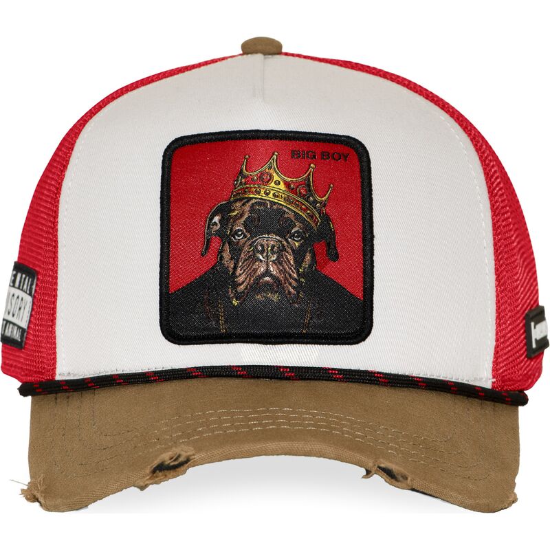 petten-gebogen-meerkleurig-snapback-big-boy-bigb-hip-hop-dogz-van-capslab petten-gebogen-meerkleurig-snapback-big-boy-bigb-hip-hop-dogz-van-capslab