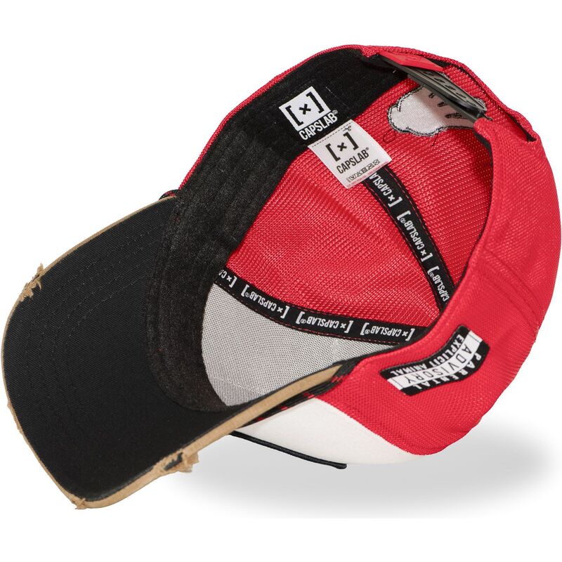 petten-gebogen-meerkleurig-snapback-big-boy-bigb-hip-hop-dogz-van-capslab petten-gebogen-meerkleurig-snapback-big-boy-bigb-hip-hop-dogz-van-capslab