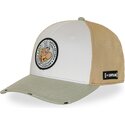 petten-gebogen-meerkleurig-snapback-ast3-astb-asterix-asterix-de-gallier-van-capslab
