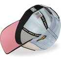 petten-gebogen-meerkleurig-snapback-loo13-dafb-daffy-duck-looney-tunes-van-capslab