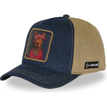 Petten gebogen meerkleurig snapback West Side Story WESB...