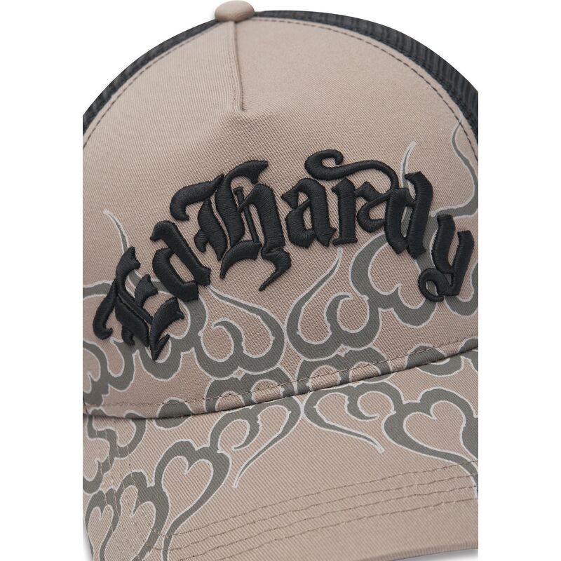 petten-gebogen-grijs-snapback-flaming-van-ed-hardy