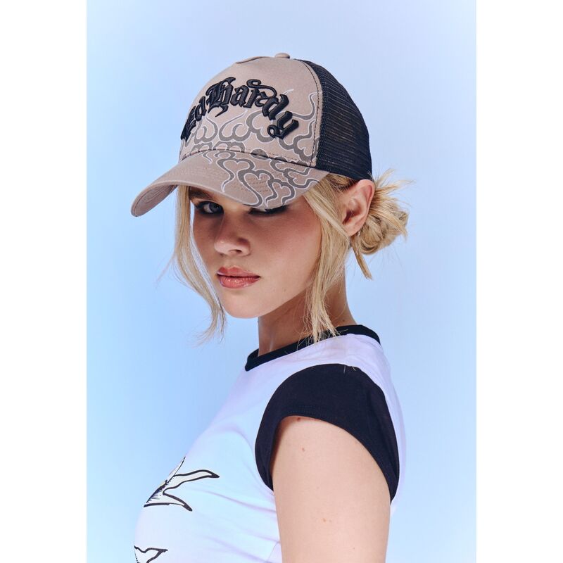 petten-gebogen-grijs-snapback-flaming-van-ed-hardy