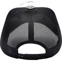 petten-gebogen-zwart-snapback-snake-and-skull-van-ed-hardy