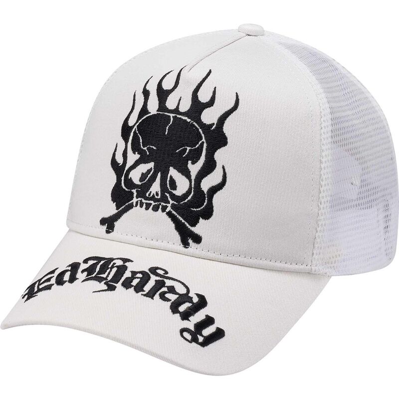 petten-gebogen-wit-snapback-gothic-skull-in-flames-van-ed-hardy
