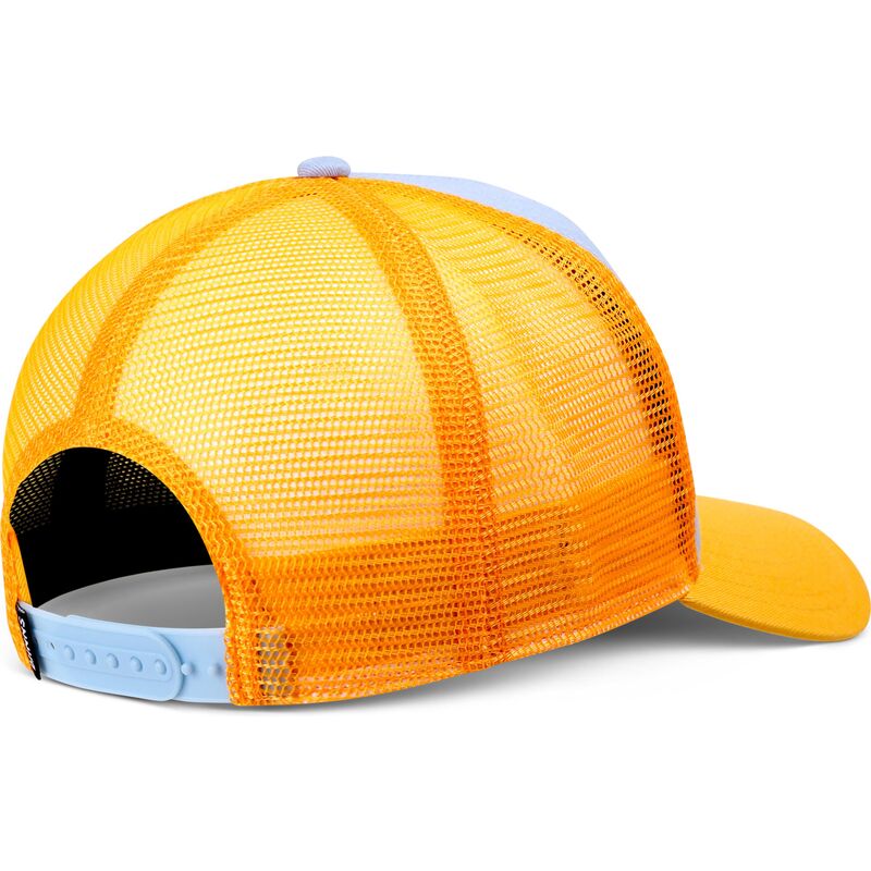 petten-gebogen-blauw-snapback-hft-skaterboy-van-djinns