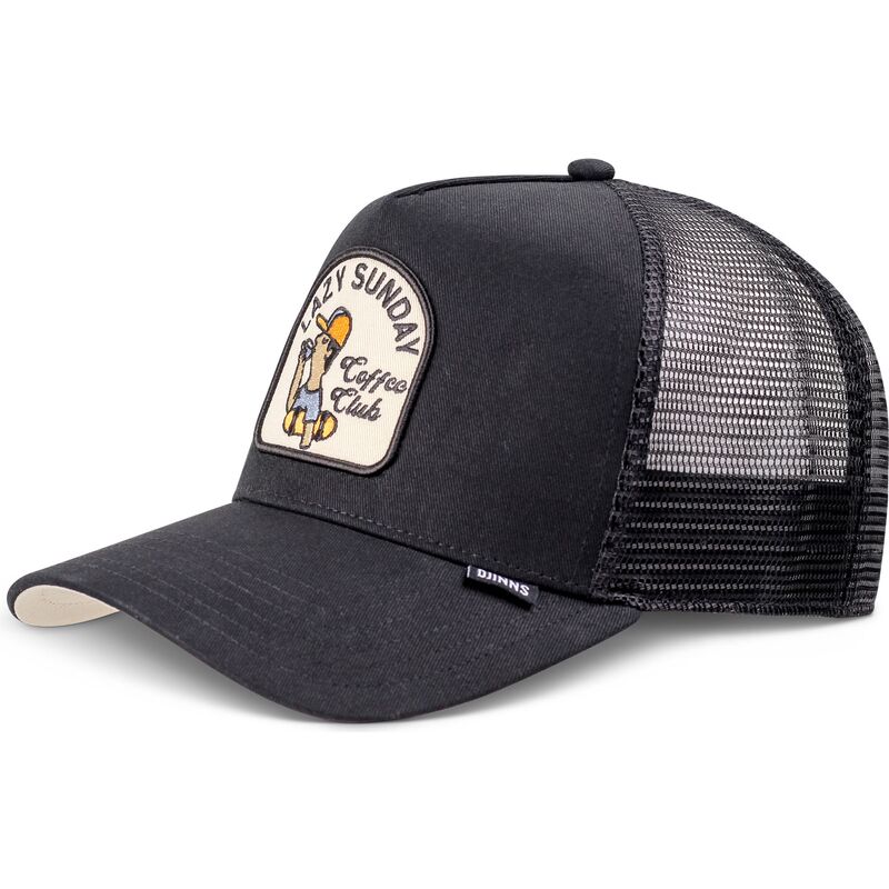 petten-gebogen-zwart-snapback-hft-skaterboy-van-djinns