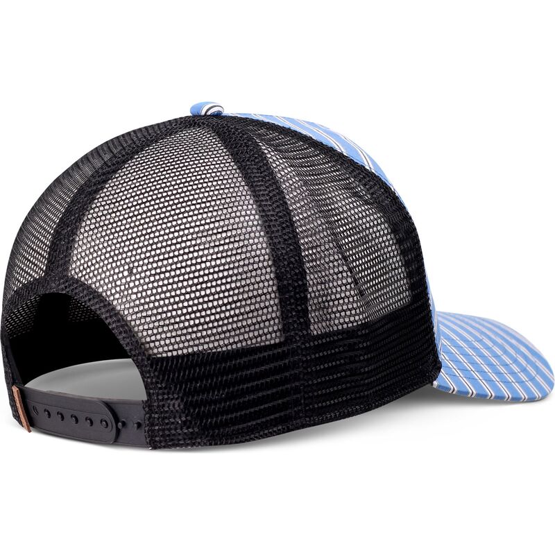 petten-gebogen-blauw-snapback-hft-business-stripe-van-djinns