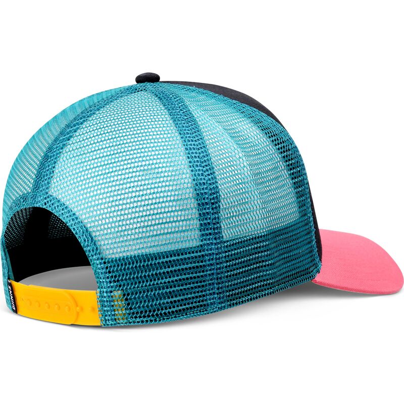 petten-gebogen-meerkleurig-snapback-hft-dnc-flamingo-van-djinns