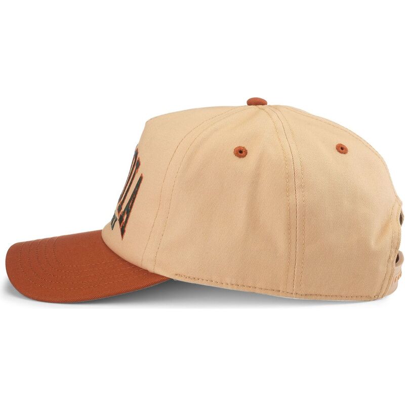 petten-gebogen-bruin-snapback-roscoe-van-sequoia-national-park-van-american-needle