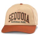 petten-gebogen-bruin-snapback-roscoe-van-sequoia-national-park-van-american-needle