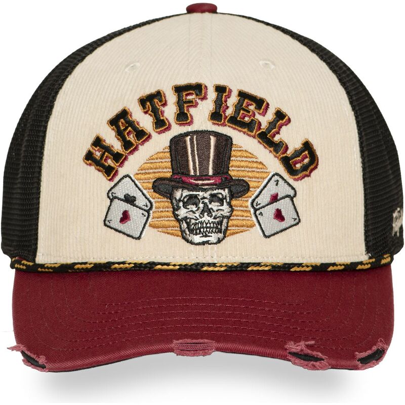 petten-gebogen-meerkleurig-snapback-pcs-ace-van-hatfield