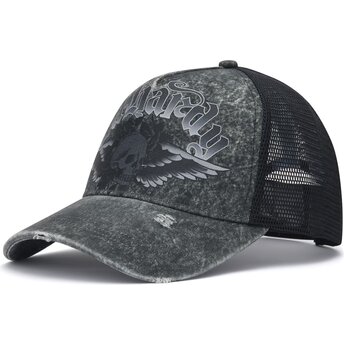 Petten gebogen grijs snapback Flaming Gothic Skull Washed van Ed Hardy