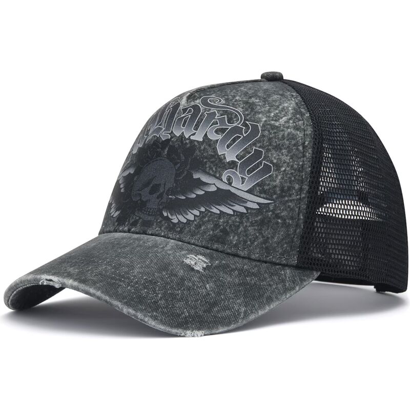 petten-gebogen-grijs-snapback-flaming-gothic-skull-washed-van-ed-hardy