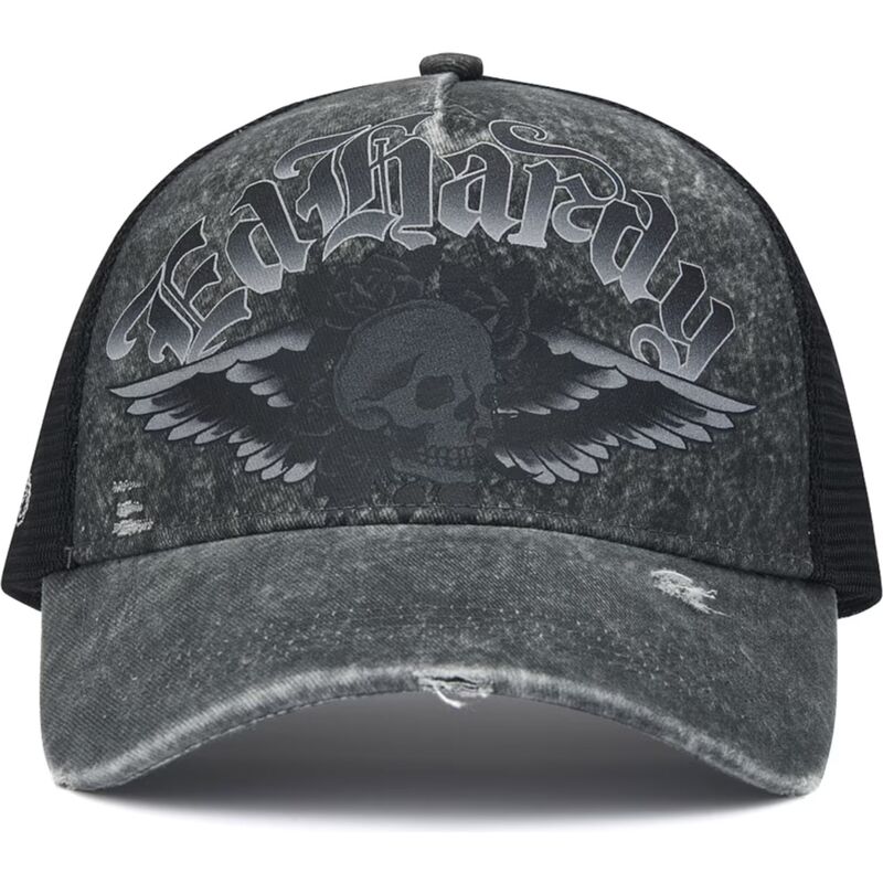 petten-gebogen-grijs-snapback-flaming-gothic-skull-washed-van-ed-hardy