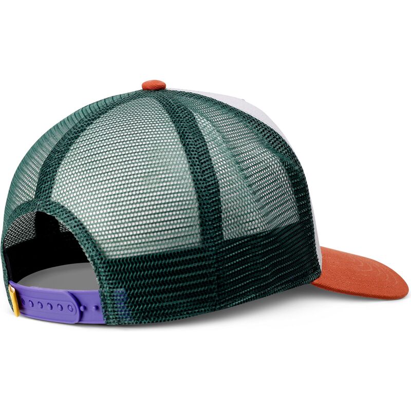 petten-gebogen-meerkleurig-snapback-hft-mermaid-weed-van-coastal
