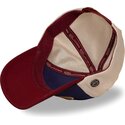 petten-gebogen-meerkleurig-snapback-terry19-van-von-dutch