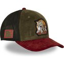 petten-gebogen-meerkleurig-snapback-taj9-taj-tom-en-jerry-looney-tunes-van-capslab
