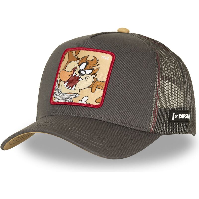 petten-gebogen-bruin-snapback-tasmaanse-duivel-looney-tunes-van-capslab