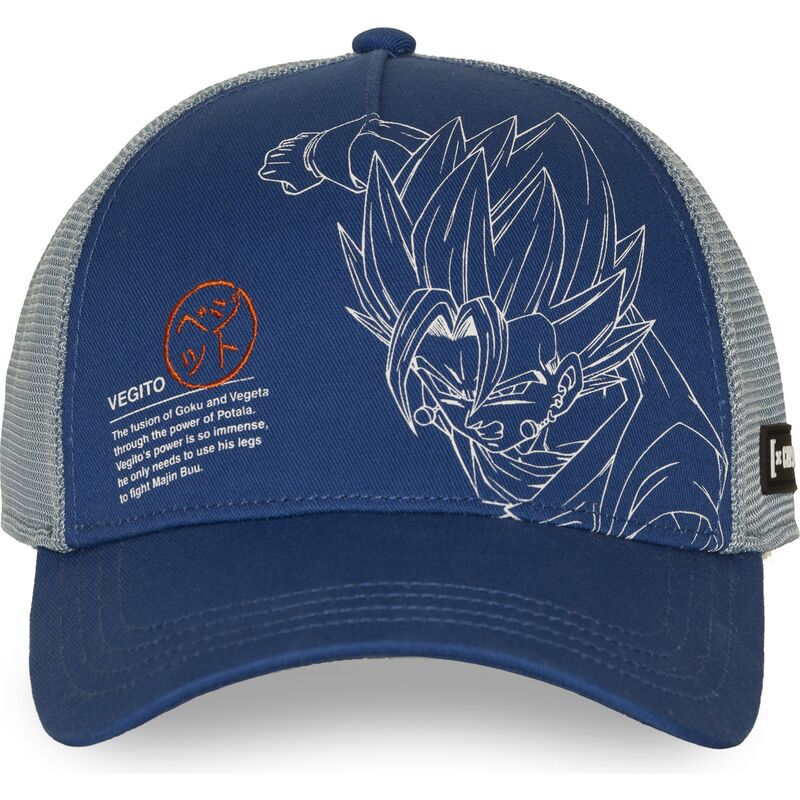 petten-gebogen-blauw-snapback-dbz11-pcbitob-vegito-dragon-ball-van-capslab