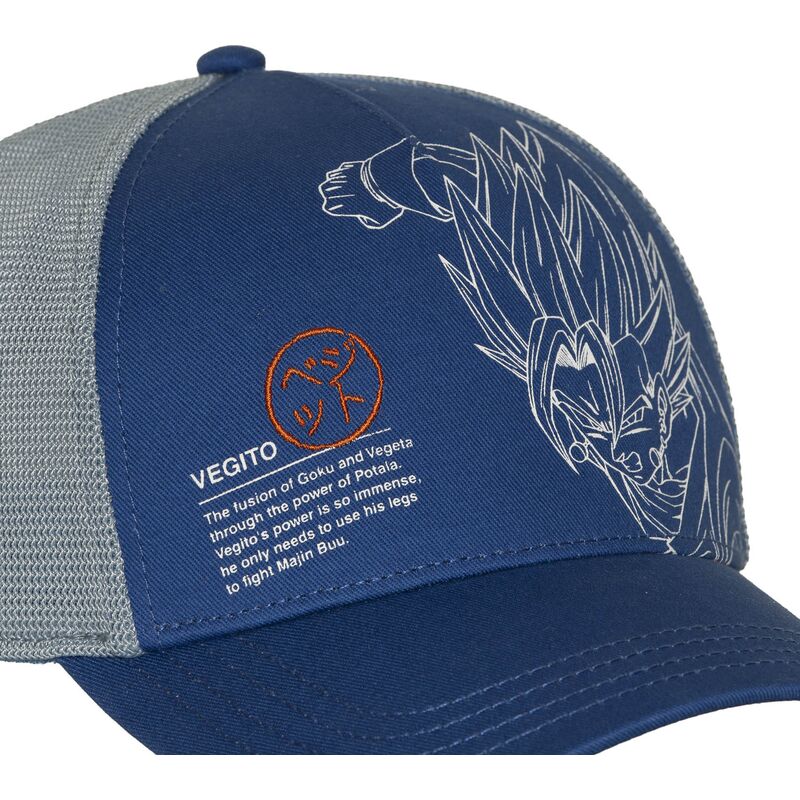 petten-gebogen-blauw-snapback-dbz11-pcbitob-vegito-dragon-ball-van-capslab