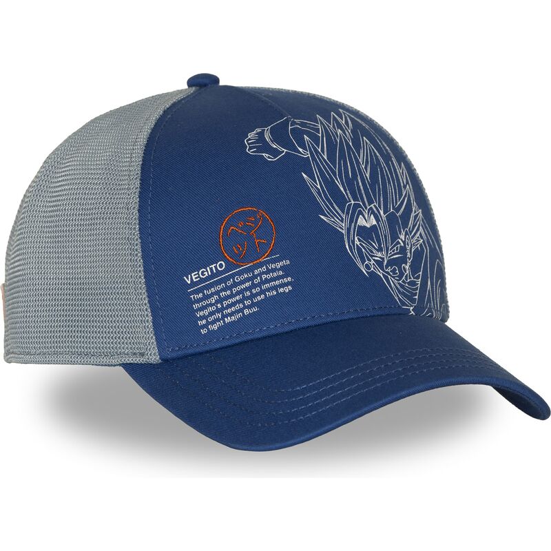 petten-gebogen-blauw-snapback-dbz11-pcbitob-vegito-dragon-ball-van-capslab