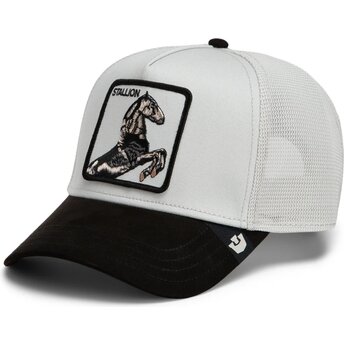 Petten gebogen grijs snapback Suede Stallion Microsuede The Farm Goorin Bros.