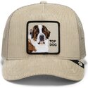petten-gebogen-beige-snapback-corduroy-top-dog-ridgeline-the-farm-goorin-bros