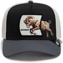 petten-gebogen-meerkleurig-snapback-banger-migration-the-farm-goorin-bros