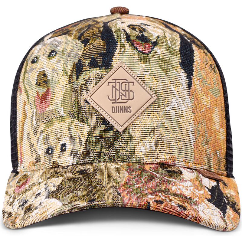 petten-gebogen-meerkleurig-snapback-hft-crasy-sofa-dogs-van-djinns