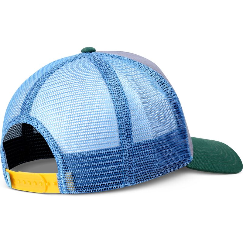 petten-gebogen-meerkleurig-snapback-hft-to-the-bone-van-coastal