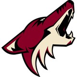 arizona-coyotes
