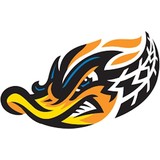 akron-rubberducks